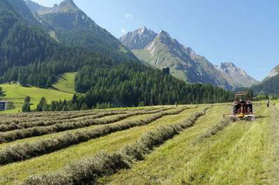 Unsere Philosophie beinhaltet Nachhaltigkeit & Gastlichkeit
