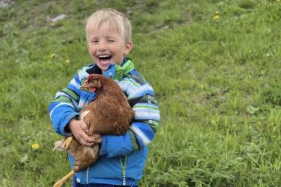 tierische_Momente_im_Hühnergartl.jpg