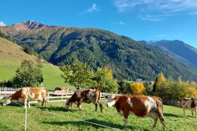 Unser Biobauernhof Bergerhof