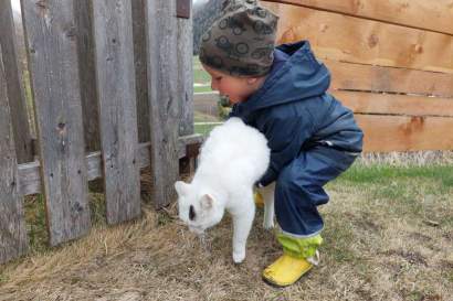 Kitty_begleitet_uns_beim_Spaziergang_am_Fuße_des_Großglockners.jpg