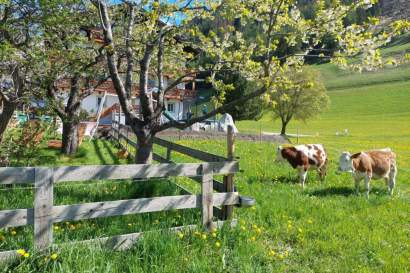 Frühling_am_Bergerhof.jpg